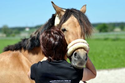 Bei einer Massage kann Ihr Pferd entspannen Pferdephysiotherapie1